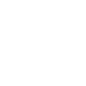 IN